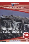 A természet csodái 18.: Krokodilok felségterülete (DVD) 