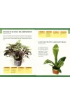 Otthonunk növényei 3. – Nagy levelű szobanövények (Családi füzetek)