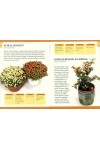 Otthonunk növényei 4. – Szobanövények kisméretű levelekkel (Családi füzetek)