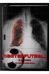 Magyarfutball, a 91. perc (DVD)